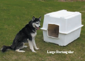 Dog House