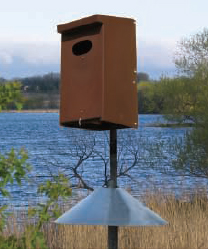 Duck House
