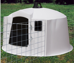 High Door Calf Nursery