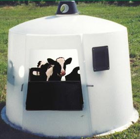 Mini Dome Calf Nursery