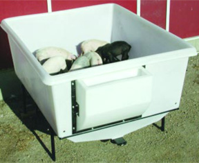 Pig Nursery