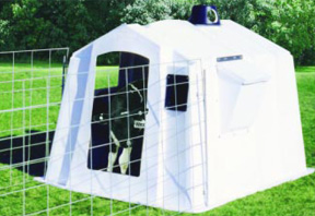 Square Calf Nursery
