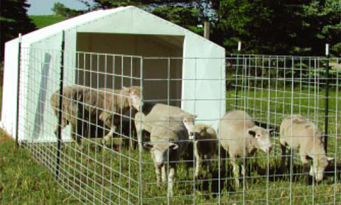 PolyDome Super Hut